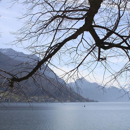 Ferienwohnungen Walk Gmunden Exteriör bild
